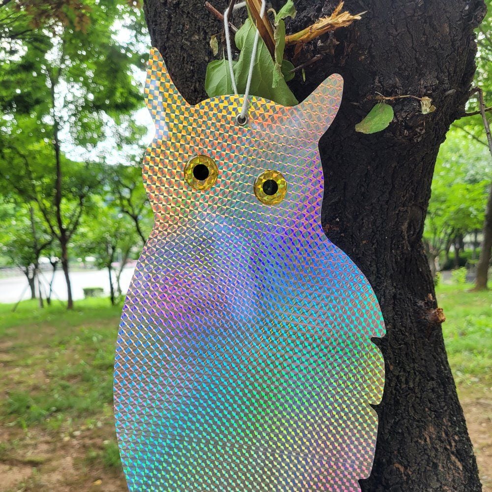 새 접근금지 홀로그램 부엉이 모형