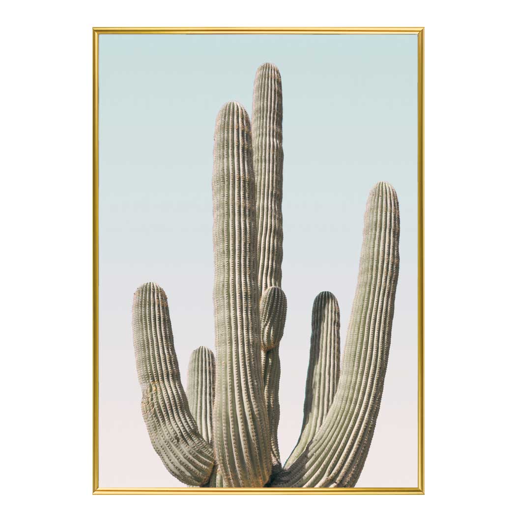 슬림 인테리어액자 Saguaro A2사이즈